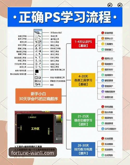 万利可靠吗使用技巧 从入门到精通:资深用户总结的万利可靠吗使用技巧与实战心得